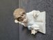 NAO by Lladro Porzellanfigur &bdquo;Repeat After Me&rdquo; Junge mit Welpe