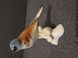 Bird on a branch. Porcelain.Hand-painted
