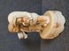 Enesco Here Comes the Bride & Groom &ndash; bo&icirc;te &agrave; musique en porcelaine Memories of Yesterday