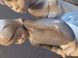 Erster Kuss von Lladro Nr. 1188 &bdquo;First Kiss&ldquo; | Porzellanfigur | Spanien