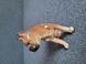 Vintage porcelain figurine of a boxer dog