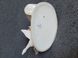 Lladro Porcelain Figurine &ldquo;Wild Goose Chase&rdquo; No.5553 &mdash; Girl with Goose, Collectible Model