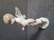 Lladro Porcelain Figurine "Cupid's Arrow" No. 6596 | 1998 | Spain
