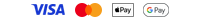 Visa, Mastercard, Apple Pay and Google Pay