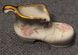 A pair of Mayfayre porcelain shoes
