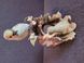 Vintage porcelanowa figurka Homco Masterpiece &bdquo;Mocking Bird&rdquo;