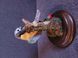 Vintage Ceramic Bird Figurine on Branch with Wooden Base