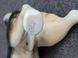 Rare porcelain figurine husky dog Germany