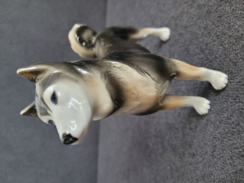 Rare porcelain figurine husky dog Germany