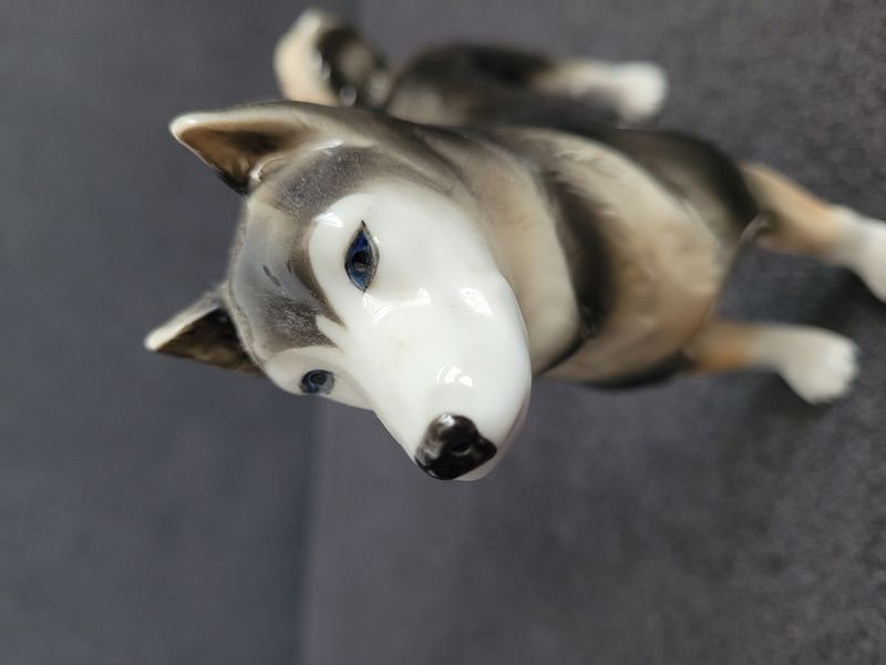 Rare porcelain figurine husky dog Germany