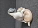 NAO by Lladr&oacute; Porcelain Figurine &ldquo;Playful Puppies &ndash; Twerp & Mikie&rdquo; Spain